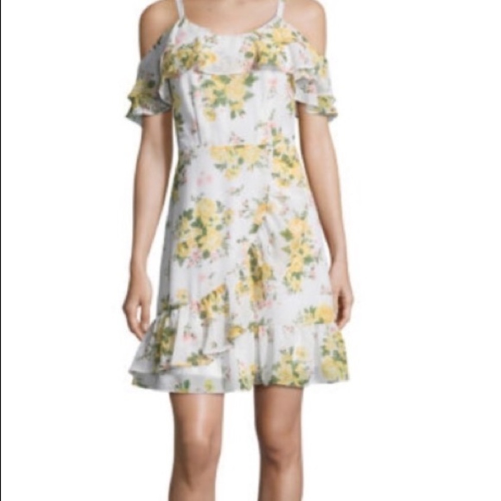 NWT floral Disney dress